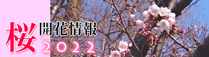 2022年の桜開花情報