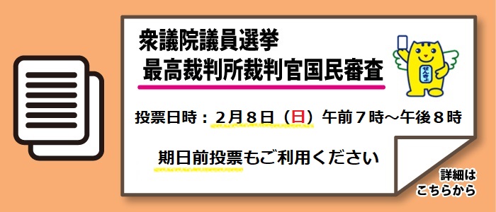 衆議院議員選挙　最高裁判所裁判官国民審査