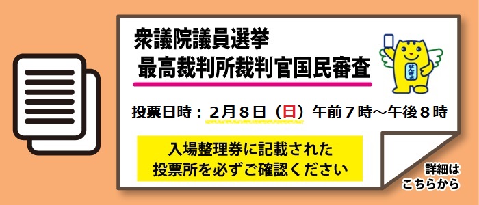 衆議院議員選挙　最高裁判所裁判官国民審査