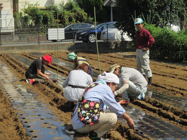 画像：写真・体験農園の様子