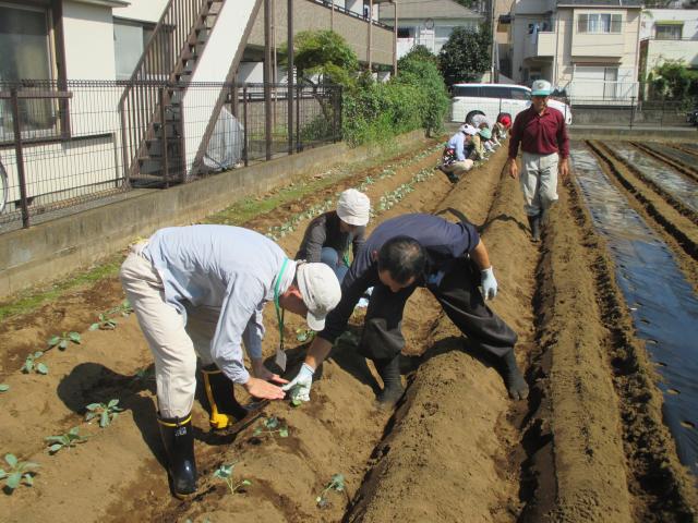 画像：写真・農作業の様子