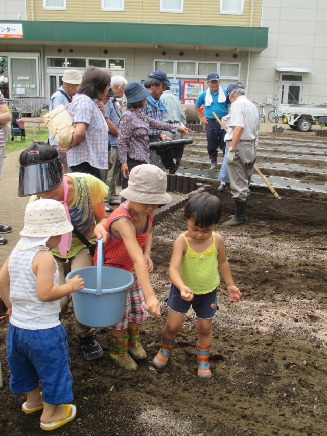 画像：三鷹市農業公園で大根の種まきの様子の写真