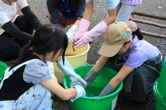 画像：草木染ワークショップの様子