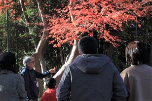 画像：森のおはなしの写真