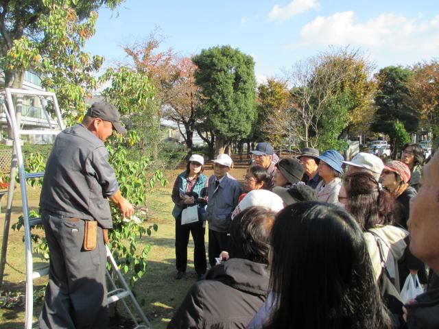 画像：写真・剪定講習会の様子1