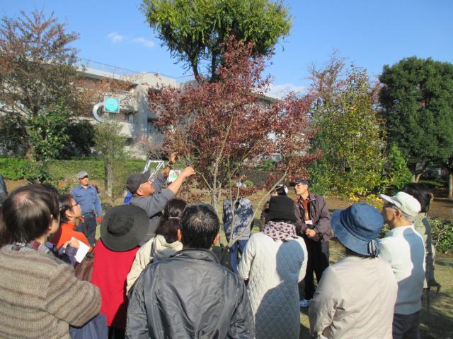 画像：写真・剪定講習会の様子2