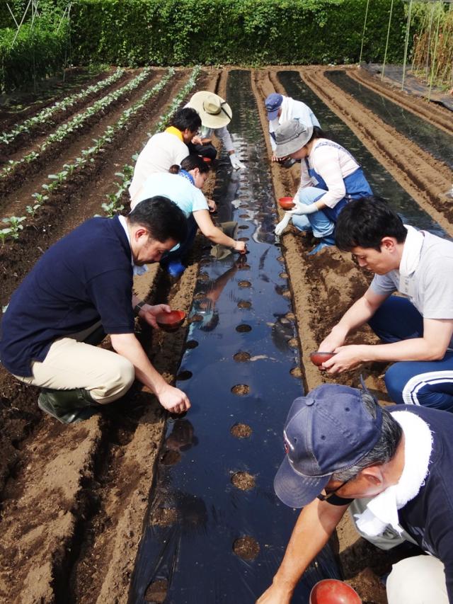 画像：写真・農作業の様子