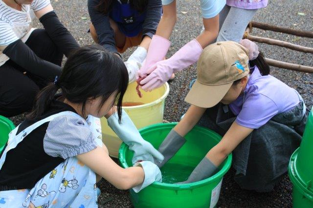 画像：前回の草木染ワークショップで参加者が草木染をしている様子
