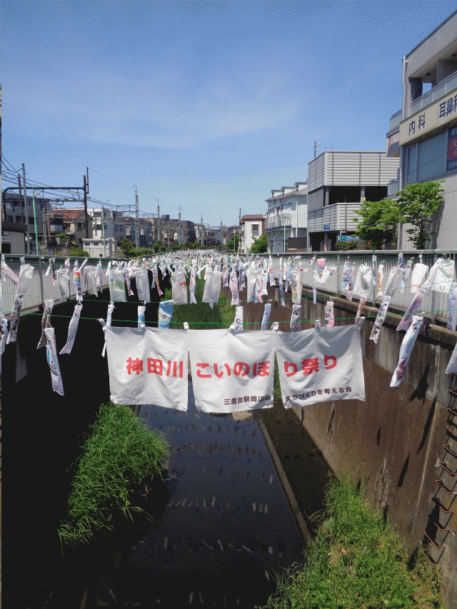 画像：たくさんのこいのぼりが神田川の上を泳ぐ様子の写真