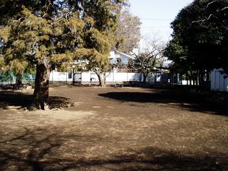 画像：子ども林間研修広場（なんじゃもんじゃの森）の写真