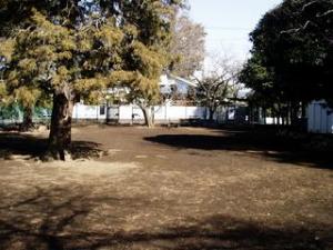 画像：子ども林間研修広場（なんじゃもんじゃの森）の写真（拡大画像へのリンク）