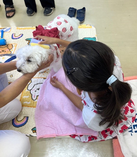 画像：ふれあいタイムの様子の写真
