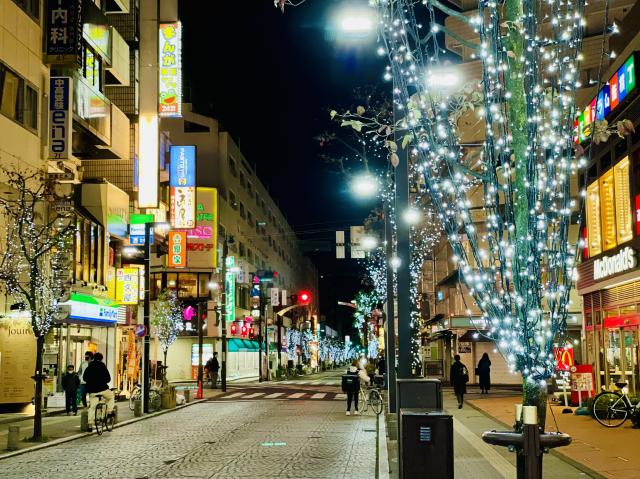 画像：街路樹イルミネーションの様子
