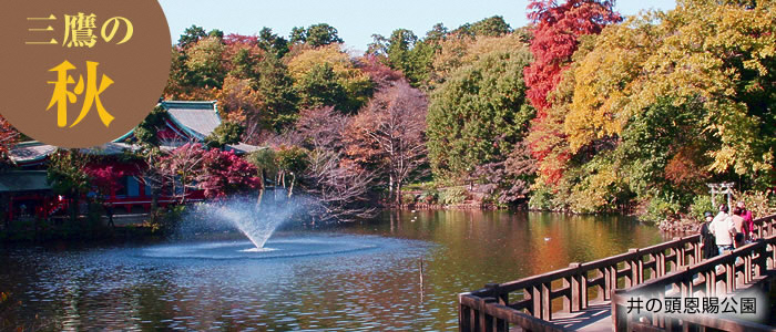 画像：井の頭恩賜公園