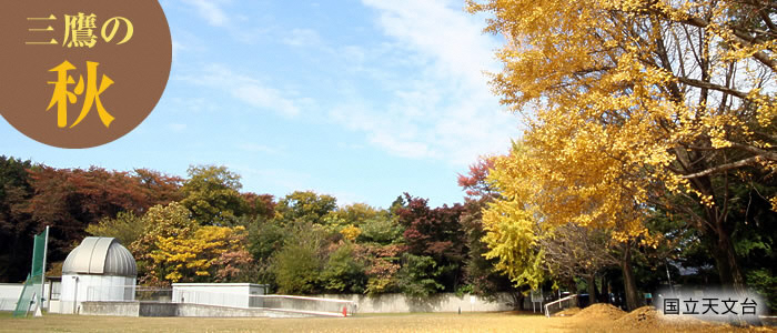 画像：国立天文台