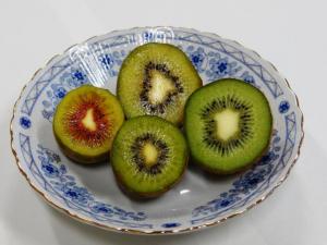 画像：写真・皿に盛られたキウイ（拡大画像へのリンク）