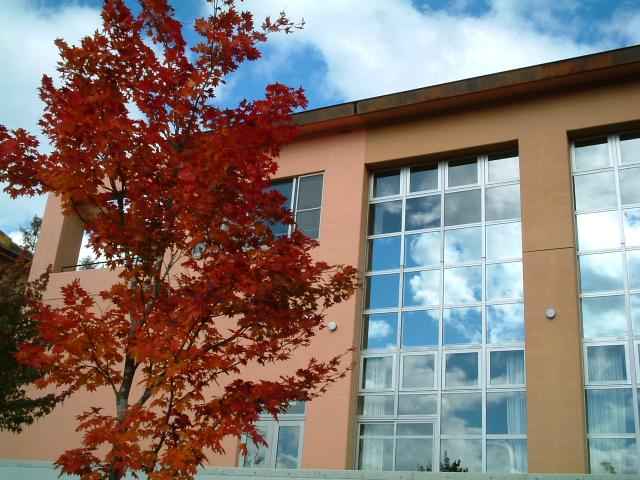 画像：赤く色づく紅葉が美しい川上郷自然の村の中庭の写真