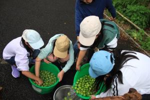 画像：ジュニアスタッフ達の写真（拡大画像へのリンク）