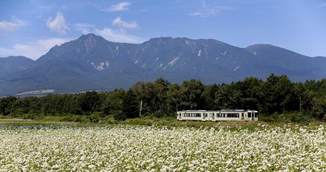 画像：八ヶ岳山麓を走るJR小海線の写真