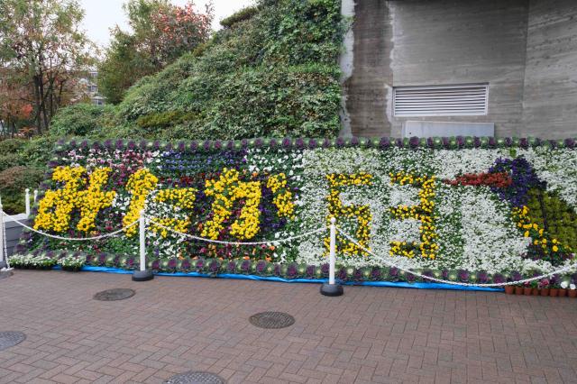 画像：三鷹市農業祭花文字の写真