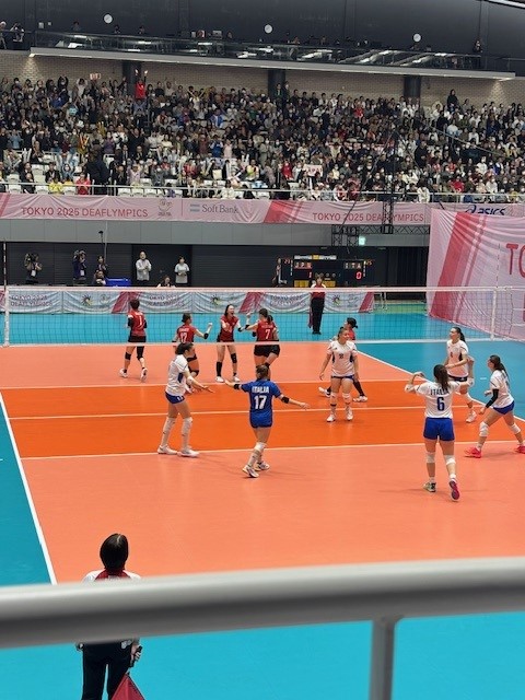 画像：日本対イタリア戦