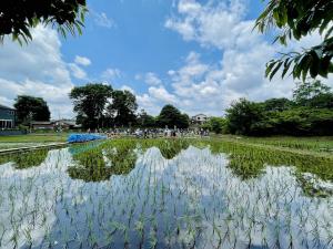 画像：ほたるの里でたくさんの人が田植えをしている写真（拡大画像へのリンク）