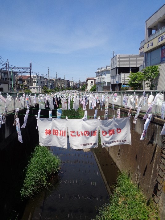 画像：神田川をこいのぼりが泳ぐ様子の写真
