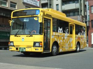 画像：中型車両（定員56名）