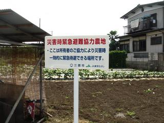 画像：写真：協力をいただいた農地に建てた看板