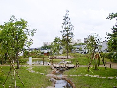 画像：写真：丸池の風景