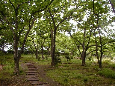 画像：牟礼の里の風景の写真