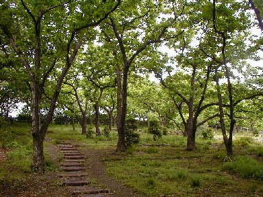 画像：牟礼の里の風景