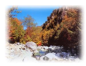 画像：写真・秋の金峰渓谷（拡大画像へのリンク）