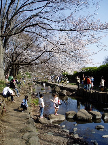 画像：写真：神田川