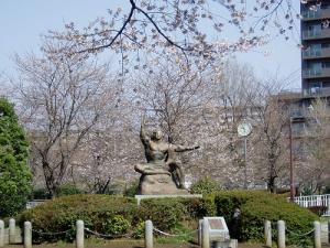 画像：写真：仙川平和公園の桜（拡大画像へのリンク）