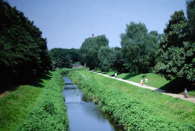 画像：写真：野川公園