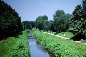 画像：写真：野川公園（拡大画像へのリンク）