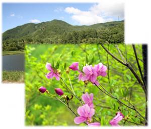 画像：川上村の豊かな自然（拡大画像へのリンク）