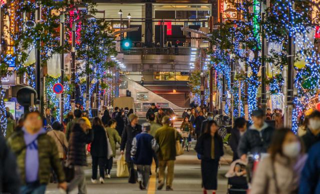 画像：写真：ケヤキを彩る電飾のイルミネーション