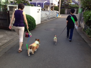 画像：写真：街中で愛犬の散歩をしながらパトロールをする様子