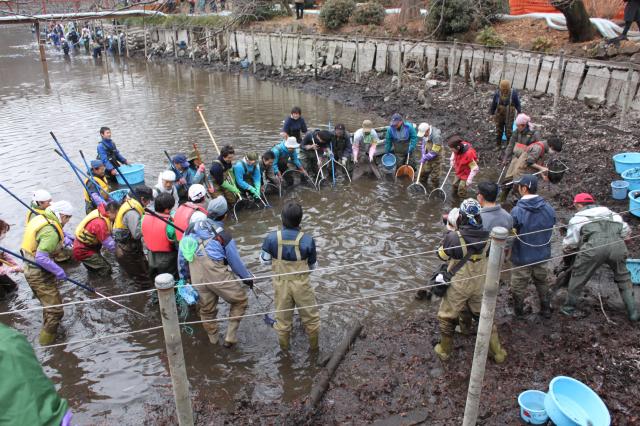 画像：写真・大人数で池の隅に魚を追いつめる様子