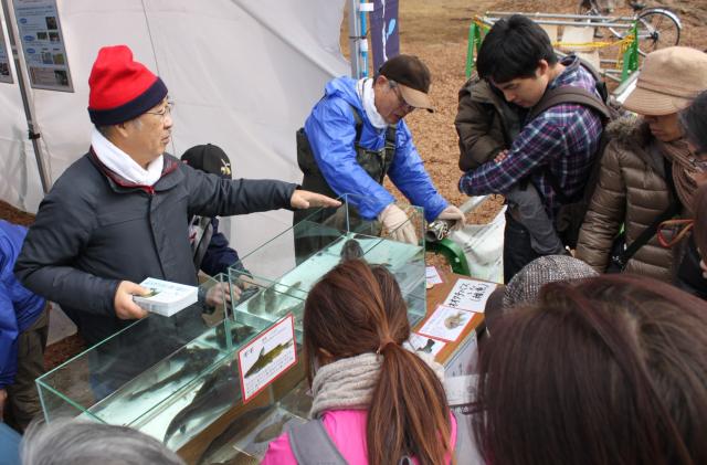 画像：写真・来園者に魚の解説をしている様子