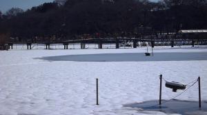 画像：写真・井の頭池の一面に雪が降り積もった様子（拡大画像へのリンク）