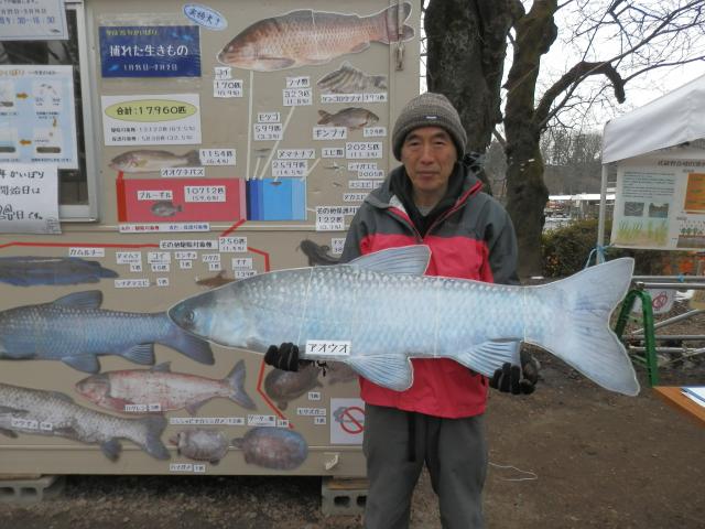 画像：写真：かいぼり屋解説員の山崎善弘さん