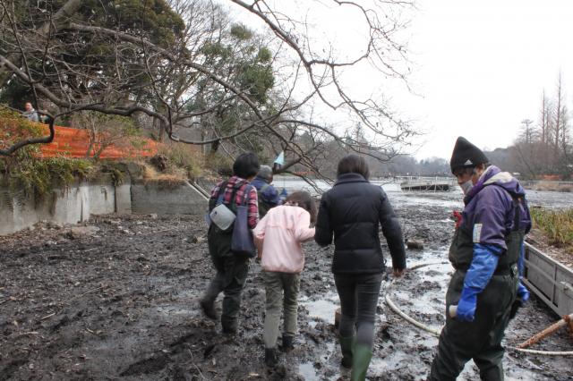 画像：水の抜かれた井の頭池を探索する見学者の様子