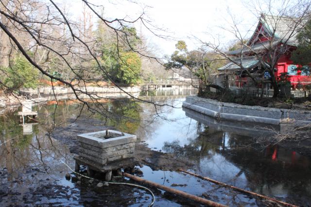 画像：水がたまり始めた弁天池の様子