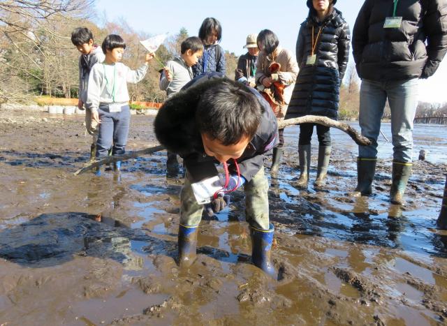 画像：平成28年に行われた池底ツアーの様子。子ども池底の湧水に見入っている。