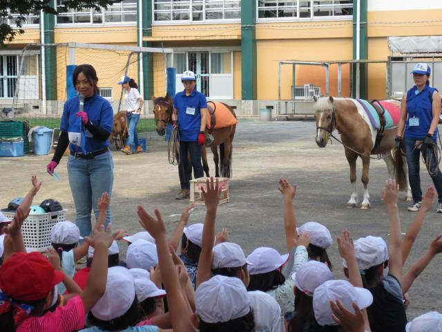 画像：ポニーを前にして乗馬の説明を受ける小学3年生の児童たち