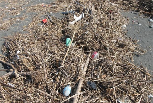 画像：浜辺に打ち上げられたプラスチックごみ