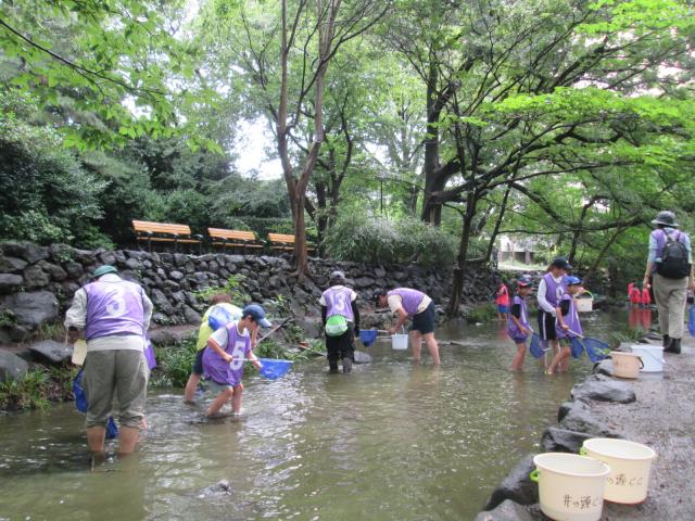 画像：神田川の生き物観察の様子